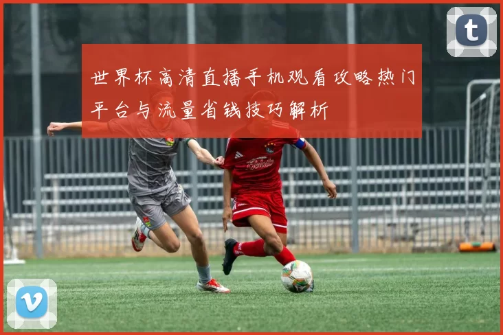 世界杯高清直播手机观看攻略热门平台与流量省钱技巧解析