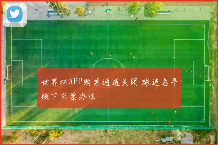 世界杯APP购票通道关闭 球迷急寻线下买票办法