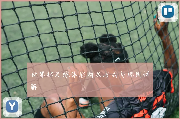 世界杯足球体彩购买方式与规则详解